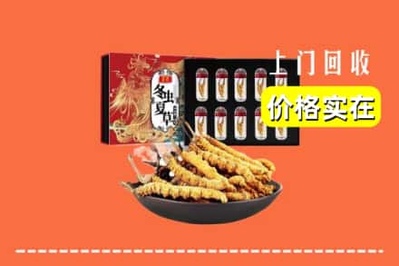 呼伦贝尔莫力达瓦旗回收虫草